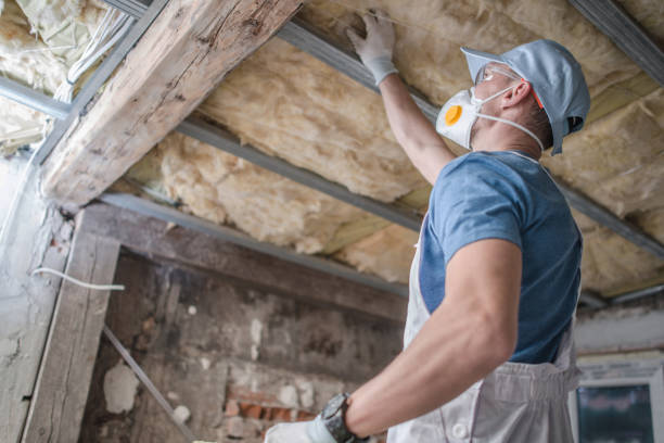 Best Insulation Repair Services  in Salem, UT