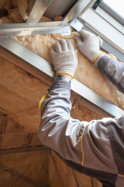 Best Spray Foam Insulation  in Salem, UT