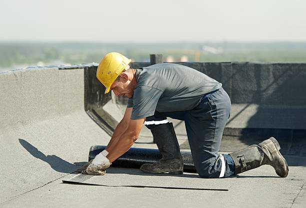 Best Best Insulation Companies  in Salem, UT