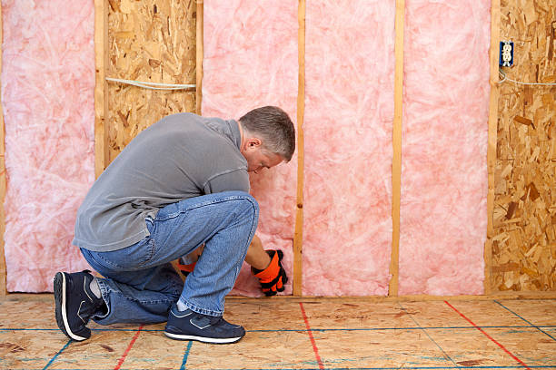 Best Insulation Removal  in Salem, UT