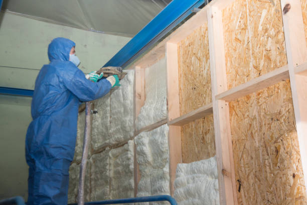 Best Blown-in Insulation  in Salem, UT